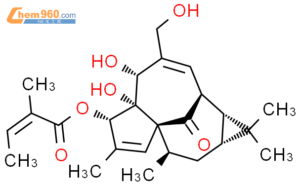 巨大戟醇-3-O-当归酸酯; 巨大戟醇甲基丁烯酸酯