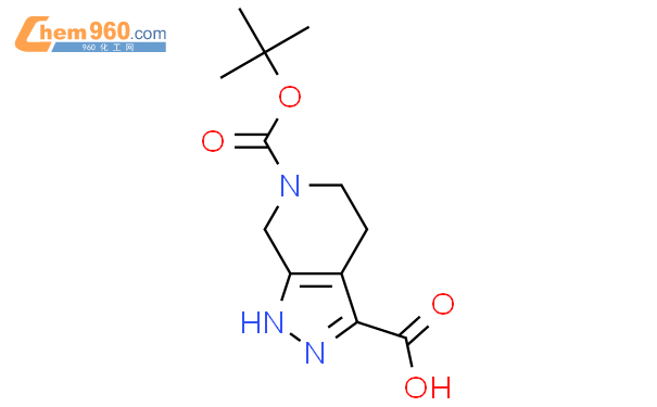6H-吡唑[3,4-C]1,4,5,7-四氢吡啶-3,6-羧酸6-(1,1-二甲基乙基)酯