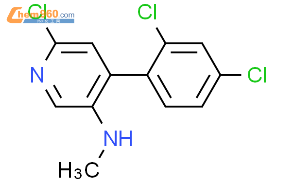 Pyridinamine Chloro Dichlorophenyl N Methyl