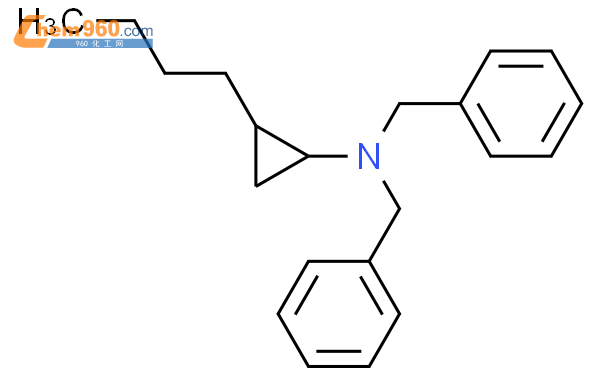 844642 99 5 Benzenemethanamine N 2 Butylcyclopropyl N Phenylmethyl Cas号 844642 99 5