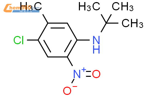 849041 78 7 N tert butyl 4 chloro 5 methyl 2 nitroanilineCAS号 849041 78