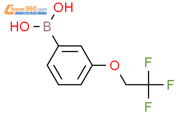 3-三氟乙氧基苯硼酸