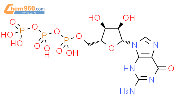 鸟苷-5'-三磷酸 （GTP·自由酸）