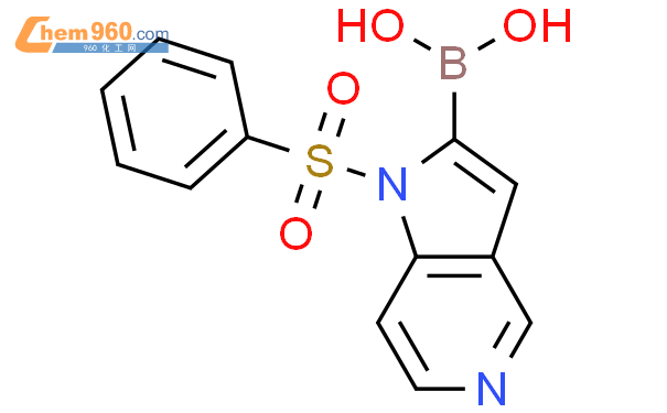 1-(苯基磺酰基)-1H-吡咯并[3,2-c]吡啶-2-硼酸