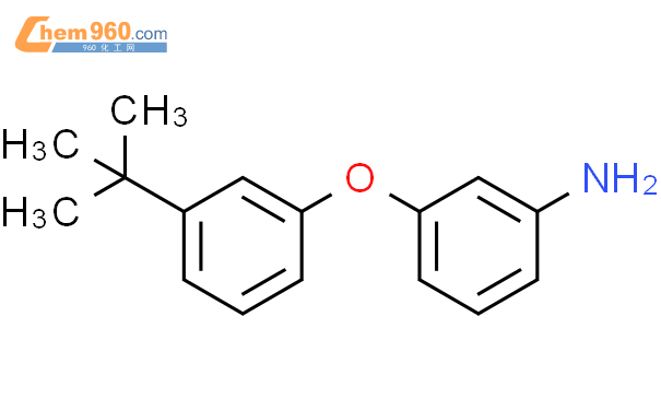 3-(3-叔丁基苯氧基)-苯胺