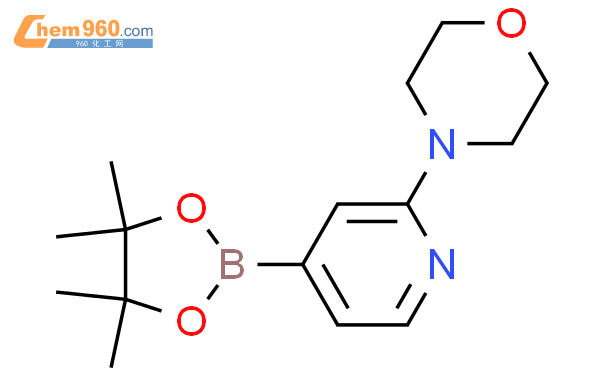 2-吗啉吡啶-4-硼酸频那醇酯