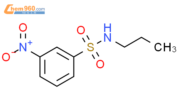 89840 71 1benzenesulfonamide 3 Nitro N Propyl 化学式、结构式、分子式、mol 960化工网 