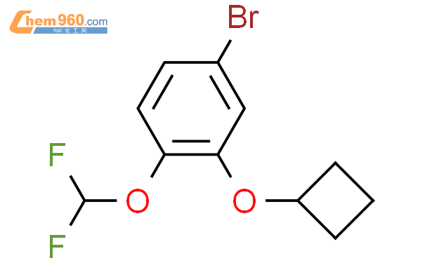 944333 97 54 溴 2 环丁氧基 1 二氟甲氧基苯cas号944333 97 54 溴 2 环丁氧基 1 二氟甲氧基苯中英文名分子式结构式 960化工网 3325