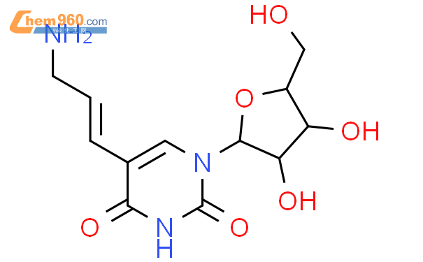 5-烯丙胺基尿苷