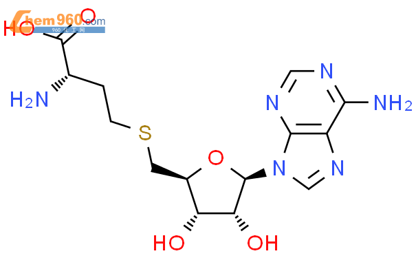 S-(5-腺苷)-L-高半胱氨酸
