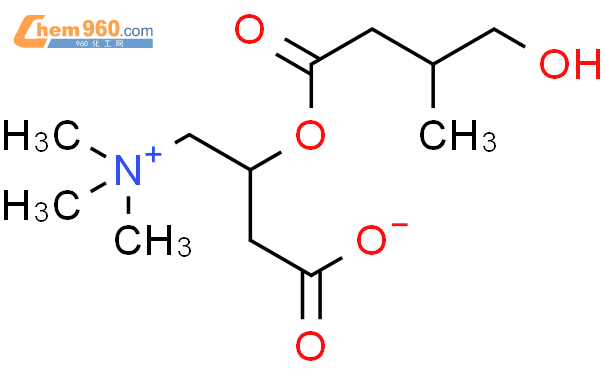 2r3羟基异戊酰基肉碱