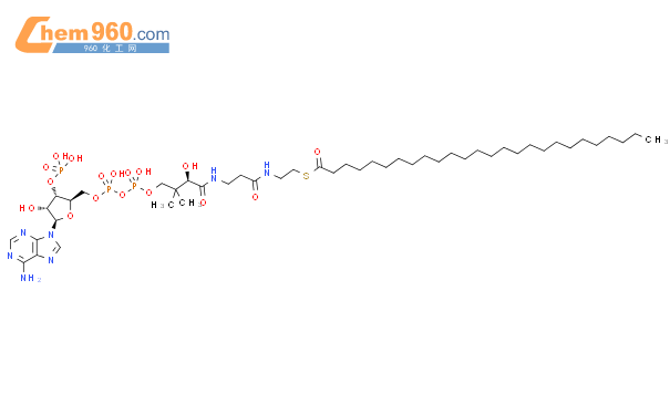 Cerotoyl-CoA结构式图片|99313-57-2结构式图片