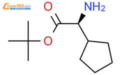 S-环戊基甘氨酸叔丁酯结构式图片|1000064-43-6结构式图片