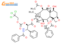 2'-O-[(2,2,2,-三氯乙基)氧基]羰基紫杉醇结构式图片|100431-55-8结构式图片