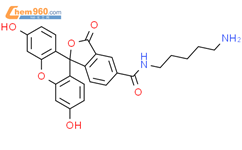 5-羧基荧光素尸胺