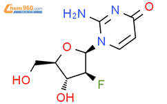 2-氨基-1-(2-脱氧-2-氟-beta-D-呋喃阿拉伯糖基)-4(1H)-嘧啶酮结构式图片|1006872-82-7结构式图片