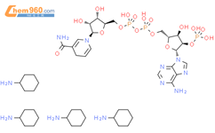 烟酰胺腺嘌呤双核苷酸磷酸四环己胺盐结构式图片|100929-71-3结构式图片