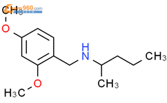 [(2,4-二甲氧基苯基)甲基](戊烷-2-基)胺结构式图片|1019618-43-9结构式图片