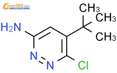 5-(tert-Butyl)-6-chloropyridazin-3-amine结构式图片|102999-49-5结构式图片