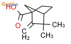 3,3-二甲基-2-亚甲基-双环[2.2.1]-庚烷-1-羧酸