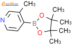 3-甲基吡啶-4-硼酸频哪酯结构式图片|1032358-00-1结构式图片
