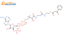 苯甲酰基乙酰辅酶A结构式图片|103319-60-4结构式图片