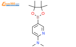 2-(二甲基氨基)吡啶-5-硼酸频哪酯结构式图片|1036991-24-8结构式图片