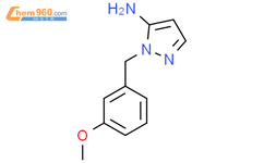 2-(3-methoxy-benzyl)-2H-pyrazol-3-ylamine结构式
