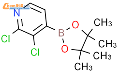 2,3-二氯吡啶-4-硼酸频哪醇酯结构式图片|1073353-78-2结构式图片