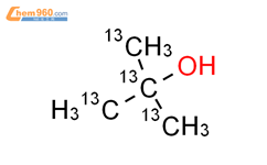 2-methylpropan-2-ol
