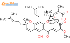 7-methoxygambogic acid结构式图片|1097190-75-4结构式图片