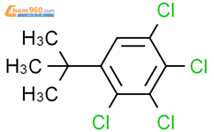 Benzene, 1,2,3,4-tetrachloro-5-(1,1-dimethylethyl)-结构式图片|109936-94-9结构式图片
