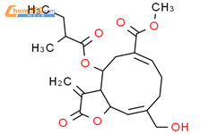 Cyclodeca[b]furan-6-carboxylicacid,2,3,3a,4,5,8,9,11a-octahydro-10-(hydroxymethyl)-3-methylene-4-(2-methyl-1-oxobutoxy)-2-oxo-,methyl ester (9CI)结构式图片|110065-77-5结构式图片