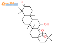 羟基齐墩果酸内酯结构式图片|111084-91-4结构式图片