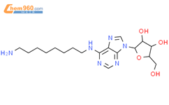 腺苷，N-（8-氨基辛基）-（9CI）结构式图片|111863-56-0结构式图片