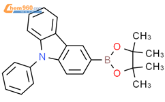 9-苯基-咔唑-3-硼酸频呐醇酯结构式图片|1126522-69-7结构式图片