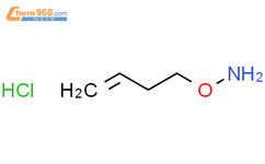 O-(3-丁烯)羟胺盐酸盐结构式图片|113211-41-9结构式图片