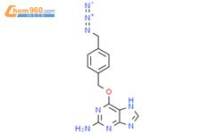 2-Amino-6-[4-(azidomethyl)benzyloxy]-9H-purine结构式图片|1151762-33-2结构式图片
