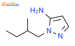2-(2-methyl-butyl)-2H-pyrazol-3-ylamine结构式