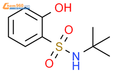 N-tert-Butyl-2-hydroxybenzene-1-sulfonamide结构式图片|1192259-38-3结构式图片