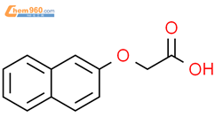 2-萘氧基乙酸结构式图片|120-23-0结构式图片