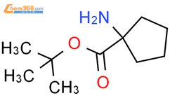1氨基环戊烷羧酸叔丁酯120225903