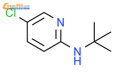 5-氯-2-(叔丁基氨基)吡啶结构式图片|121953-61-5结构式图片