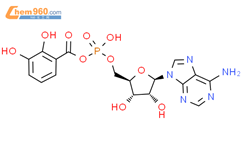酸酐与2,3-二羟基苯甲酸（1:1）5'-腺嘌呤