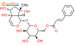 6'-O-肉桂酰基哈巴苷