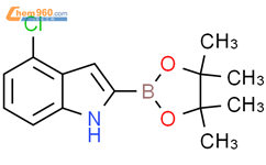 4-氯吲哚-2-硼酸频那醇酯