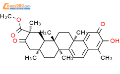 21-氧代脯氨酸结构式图片|1258606-37-9结构式图片