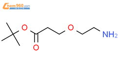 Amino-PEG1-t-butyl ester结构式图片|1260092-46-3结构式图片