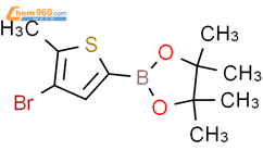 4-Bromo-5-methyl-thiophene-2-boronicacidpinacolester结构式图片|1310404-98-8结构式图片