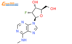2’-Deoxy-2’-fluoro-N6-methyladensoine结构式图片|134444-58-9结构式图片